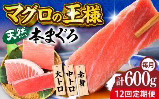 【全12回定期便】天然 本まぐろ 大トロ・中トロ・赤身（約200ｇ×3柵）約600ｇ  鮪 マグロ 魚 刺身 横須賀【横須賀商工会議所 おもてなしギフト事務局（本まぐろ直売所）】 [AKAK076]