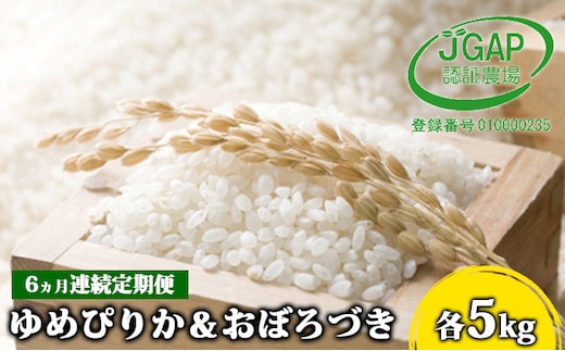 
										
										◆6ヵ月連続お届け お米の定期便◆北海道日高【田中農園】R6年産 ゆめぴりか＆おぼろづき 各5kg 食べ比べ セット 特別栽培米
									