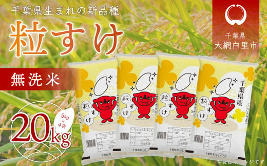 【新米】令和6年産 千葉県産「粒すけ」20kg無洗米（5kg×4袋）  お米 無洗米 20kg 千葉県産 大網白里市 粒すけ 米  こめ 送料無料 A046