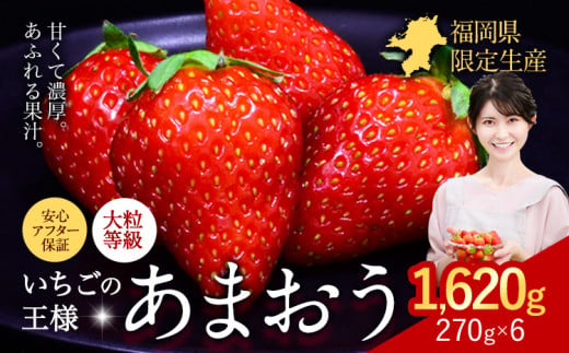 ★2025年出荷分★【先行予約】いちご あまおう 1620g (約270g×6パック) 苺 送料無料 【着日指定不可】《3月末-4月末頃出荷予定》 イチゴ 果物 フルーツ 福岡県 鞍手郡 小竹町