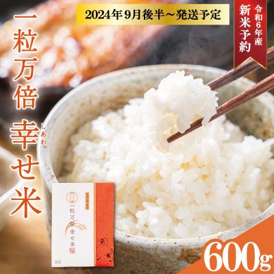 ふるさと納税 明和町 一粒万倍 幸せ米 コシヒカリ 1合×4個 | 