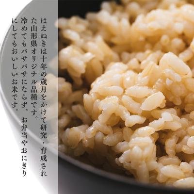 ふるさと納税 寒河江市 令和7年産 玄米10kg(5kg×2袋)「山形県産はえぬき」 2025年産 |  | 01