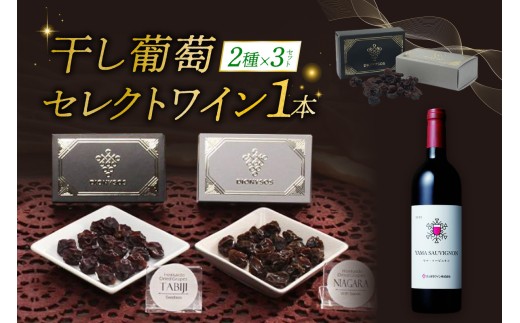 Ｃ北海道完全無添加干し葡萄と札幌産セレクトワイン1本のマリアージュセット