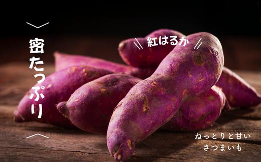 7-005-007　さつまいも（紅はるか）2kg【マルゼン佐藤果樹園】