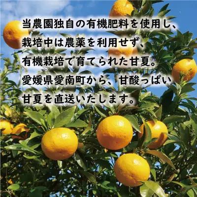 【先行予約：2026年12月中旬～発送】訳あり 甘夏 10kg くらもとファーム 愛媛県 愛南町