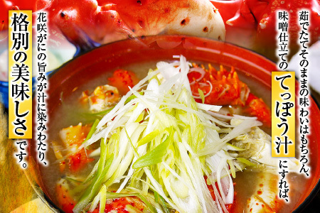 【北海道根室産】花咲がに500g前後×3尾(計1.5kg) A-54013