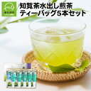 【ふるさと納税】知覧茶水出し煎茶ティーバッグ5本セット