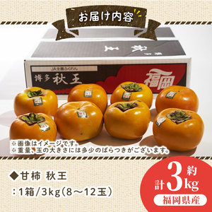 ＜先行予約受付中！2025年10月中旬～2025年11月下旬に順次発送予定＞甘柿 秋王(約3kg箱・8-12玉)＜離島配送不可＞【ksg0123】【南国フルーツ】