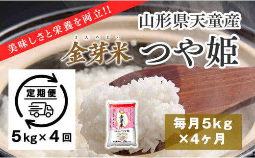 06H1101-1　金芽米つや姫定期便(5kg)4回お届け【令和6年産】