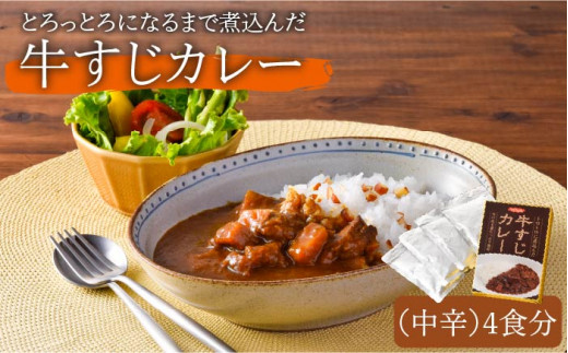 
【着日指定 可能】【とろっとろになるまで煮込んだ】牛すじカレー 4食セット（中辛） 平戸市 / カレー工房 NVfoods [KAB104]
