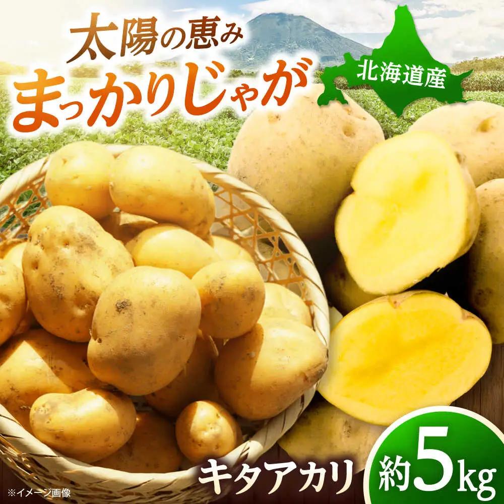 【先行予約】 じゃがいも キタアカリ 5kg [BPAM015] じゃがいも
