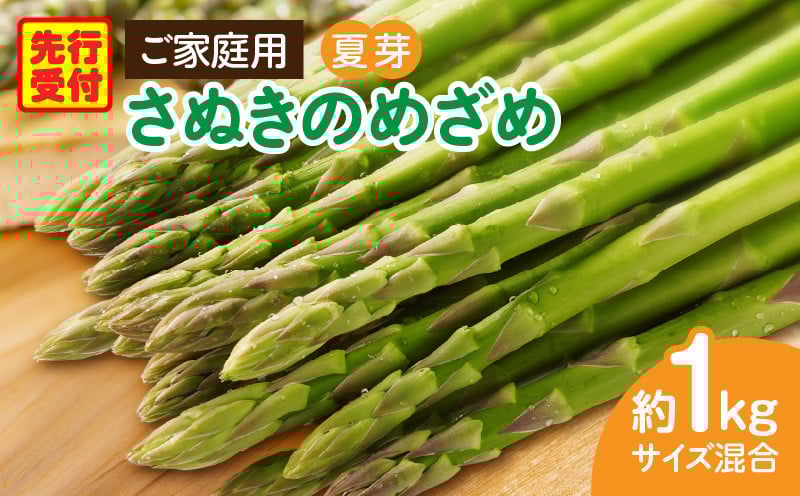 
            ご家庭用アスパラガス「さぬきのめざめ」（セミロング）夏芽　サイズ混合約1㎏ | 野菜 アスパラ アスパラガス さぬきのめざめ 家庭用 夏 冷蔵 新鮮 香川県 三木町 セミロング おすすめ |_mk006-024
          