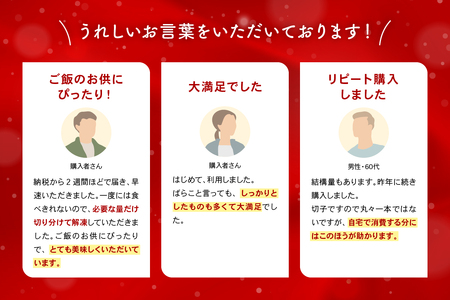 訳あり 辛子明太子 500g バラ子 切れ子