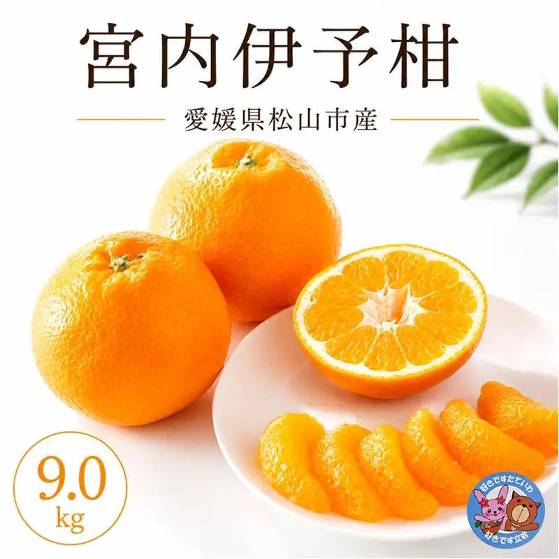 【2027年2月上旬より発送】伊予柑 約9.0kg 家庭用 愛媛県産 みかん | いよかん ミカン フルーツ 果物 くだもの 農家直送 愛媛県 松山市産 【YBN004】