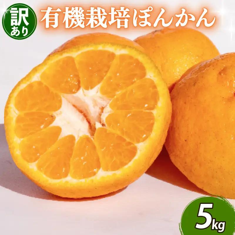【先行予約】 選べる内容 ポンカン 5kg 訳あり 