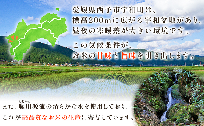 ＜令和8年産 愛媛県西予市産 コシヒカリ 田んぼダム米 10kg 3回定期便＞ ※最短10営業日以内に第1回目を出荷予定 10キロ こしひかり 西予応援米 宇和米 お米 コメ こめ 白米 精米 米 国