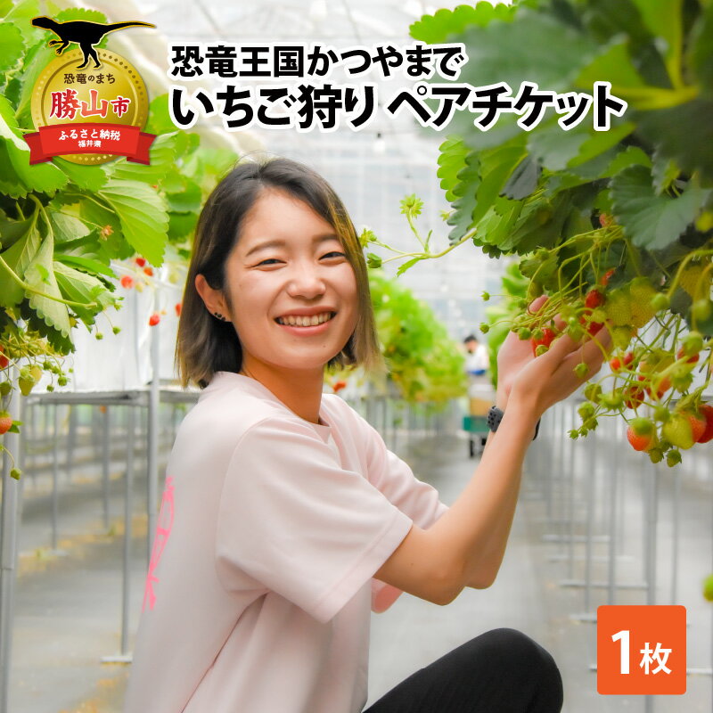 【ふるさと納税】恐竜王国かつやまでいちご狩り ペアチケット / いちご イチゴ 体験 アウトドア イチゴ狩り いちご摘み イチゴ摘み 体験 30分間食べ放題 べり果 福井県 勝山市