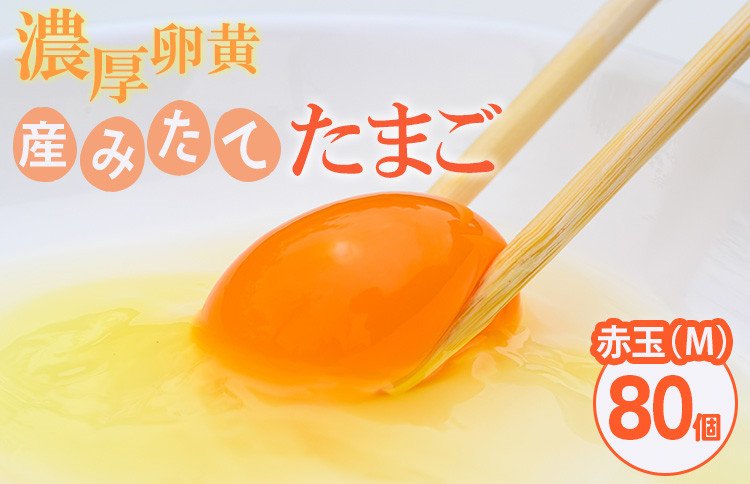 
小久保ファーム　濃厚卵黄　産みたてたまご　赤玉80個入り（M玉）| 卵 80個 赤玉 玉子 たまご タマゴ 生卵 鶏卵 生みたて 産みたて 新鮮 濃厚 健康 TKG たまごかけごはん ご飯のお供 国産 ギフト 贈答 贈り物 お中元 お歳暮 プレゼント 茨城県 古河市 直送 農家直送 産地直送 送料無料 _EI03

