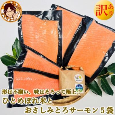 ふるさと納税 宮城県 訳ありお刺身とろサーモン約200g×5袋&amp;ひとめぼれ米2合のセット