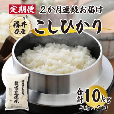 ふるさと納税 小浜市 【毎月定期便】農家直送米福井こしひかり5kg全2回