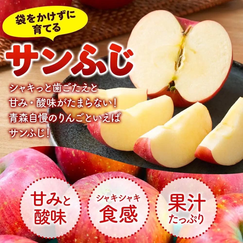 【27年3月クール便発送】りんご サンふじ【訳あり】約10kg 平均糖度13度以上 青森県 弘前市 果物 フルーツ 林檎 リンゴ くだもの 不揃い 規格外