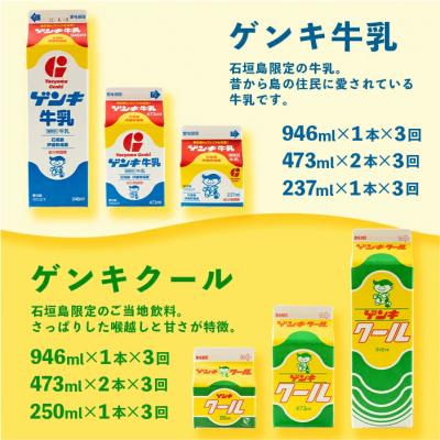 ふるさと納税 石垣市 【ふるさと納税限定】【定期便_3回】八重山ゲンキ乳業 オールスターセット GN-2_3t |  | 01