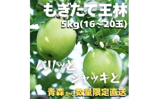 ＜青森ごのへ産＞ パリッと、シャキッとした王林 約5kg(16～20玉)【1051220】