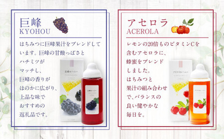 熊本 杉養蜂園 【ブルーベリー】果汁入り はちみつ 1,000g 蜂蜜