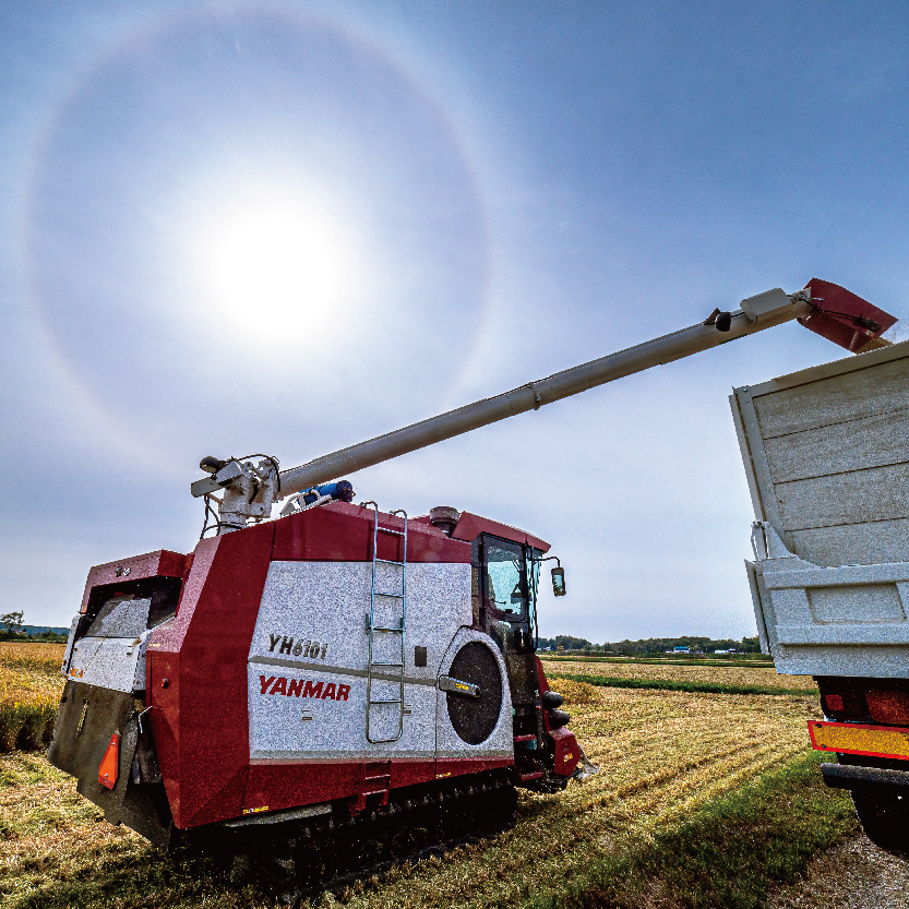 【先行予約】令和7年産 特Aランク米 ゆめぴりか 玄米 20kg（10kg×2袋）【7月発送】雪冷気 籾貯蔵 雪中米 北海道 nr-0607