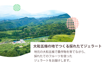 マルセのジェラート セット 80ml ×6（ 6種 ）| お菓子 おかし オカシ アイス あいす ジェラート ミルク チョコレート 奈良漬け 梅 番茶 桃 柿 奈良県 五條市