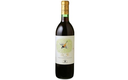 ワイン ４本 セット ( 丹波ワイン・赤ワイン )