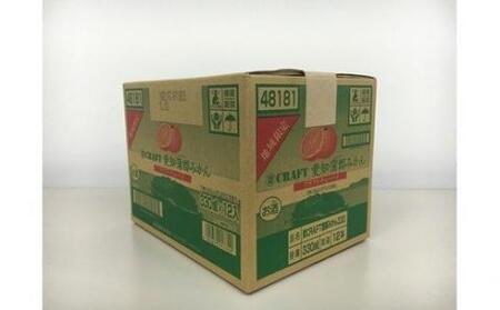 蒲郡みかんクラフトチューハイ　１２本セット_【G0092】