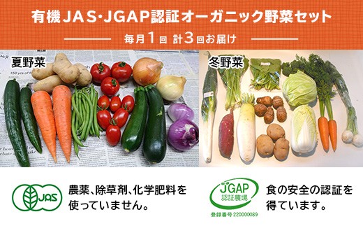 
１３０９　野菜 オーガニック 野菜セット 有機JAS認証 旬の有機野菜 ９～１２袋 毎月1回 計３回お届け 定期便 しあわせ野菜畑
