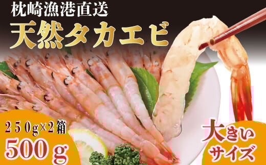 【薩摩の甘エビ】天然タカエビ500g　A0−50【配送不可地域：離島】【1524580】