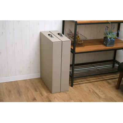 ふるさと納税 紀の川市 取っ手付きカラーメモリアルボックス2P　キウイ