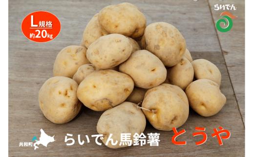 2025年 8月 出荷 先行予約 らいでん 馬鈴薯 とうや L 規格 約 20kg