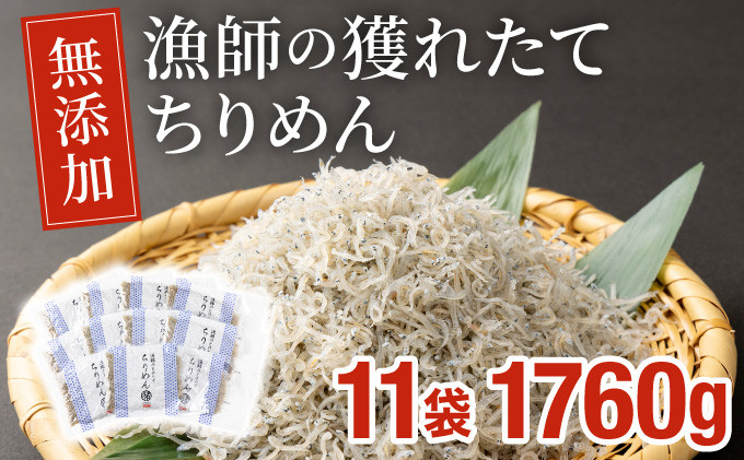 
            KU096 漁師の獲れたてちりめん 計1.76kg(160g×11袋)鮮度と美味しさに自信！ 海の幸【株式会社猪塚水産】
          