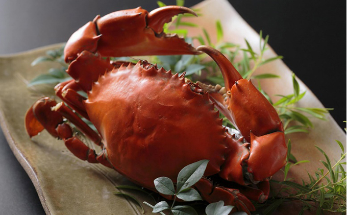 魚料理専門 魚魚一《浜松パワーフード》お食事券 5枚