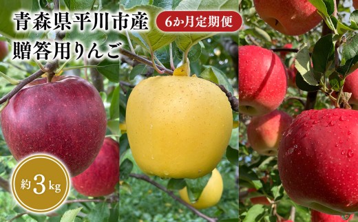 
                  ≪2026年8月下旬頃より発送≫贈答用りんご 6か月定期便 約3kg 青森県平川市産
                