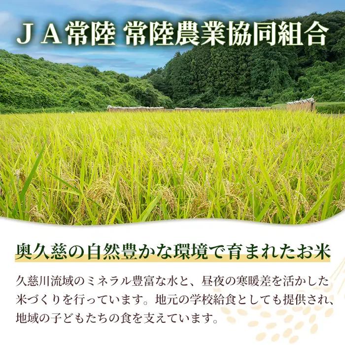 米 ゆめひたち 5kg 令和7年 【米】【ho1697】