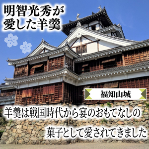 明智の郷のおいしいおいしい一口羊羹 5本（55g×5）和菓子 ようかん 羊かん 一口サイズ 栗 小倉 練 抹茶 柚子 お菓子 おやつ お茶菓子 スイーツ 詰め合わせ 手土産 贈り物 贈答 ギフト プレ