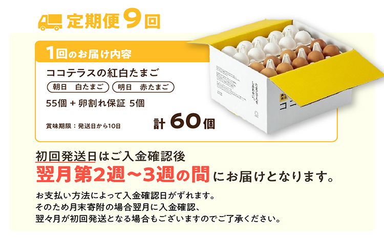 【9ヵ月定期便】ココテラスの紅白たまご　55個 + 5個保証（計60個）