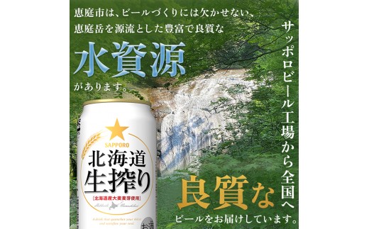 『定期便：全2回』北海道生搾り350ml×24本