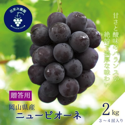 【2026年先行受付】岡山　花笑み農園の『ニューピオーネ』贈答用　約2kg(3～4房)　P-2上【配送不可地域：離島・北海道・沖縄】【1627358】