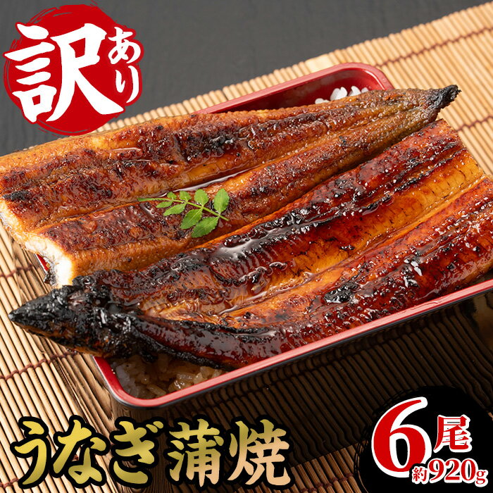 ＜訳あり・期間限定＞鹿児島県産うなぎ蒲焼6尾！国産 国産魚 九州産 鹿児島県産 魚 鰻 うなぎ 蒲焼 蒲焼き 訳あり 訳アリ 規格外 限定 惣菜 冷凍 【南竹鰻加工】