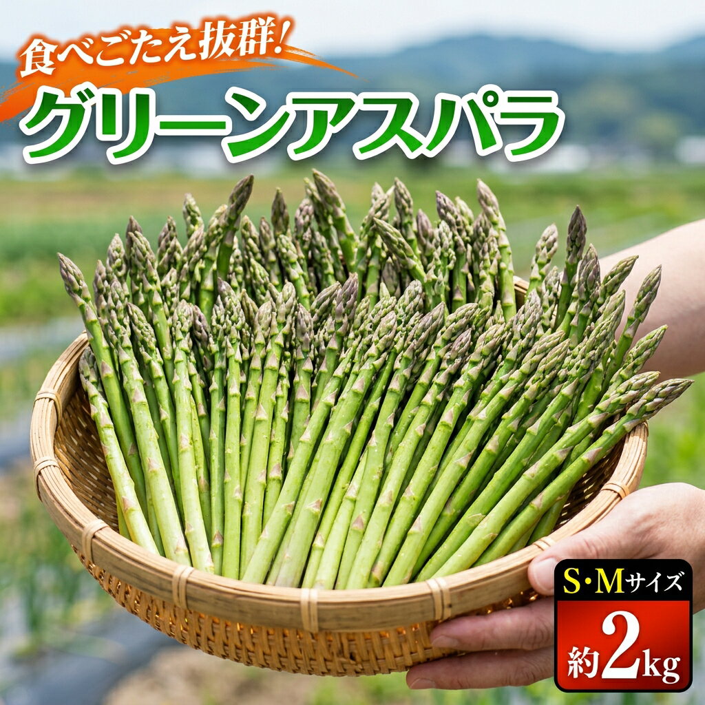【ふるさと納税】【先行受付】 グリーンアスパラ SMサイズ 2kg （S・Mサイズ各1kg）【令和8年5月中旬～6月中旬発送】オンライン 申請 ふるさと納税 北海道 新十津川 北海道産 アスパラ 朝採り 新十津川町