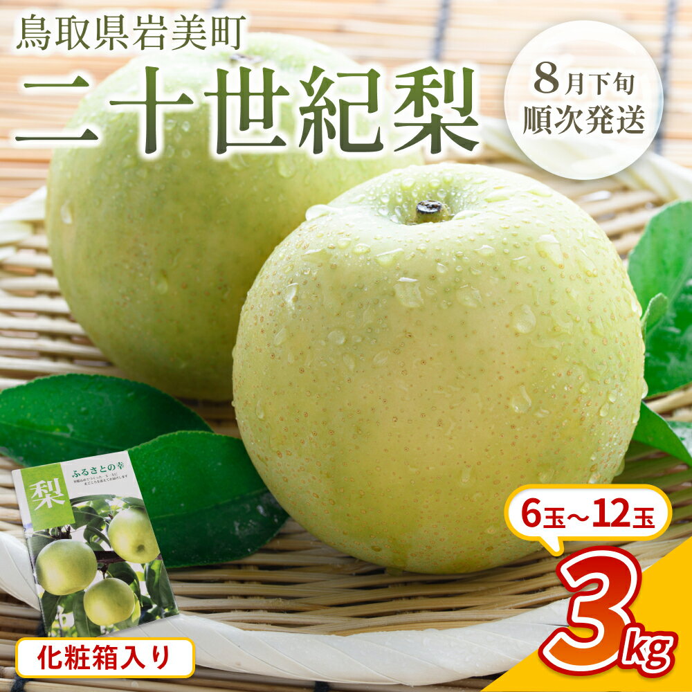 【ふるさと納税】【先行予約】中野農園 梨 ”二十世紀梨” 3kg 化粧箱入り｜鳥取 岩美 梨 なし ナシ 20世紀梨 青梨 果物 フルーツ ※お届けは2026年8月下旬頃～【41072】
