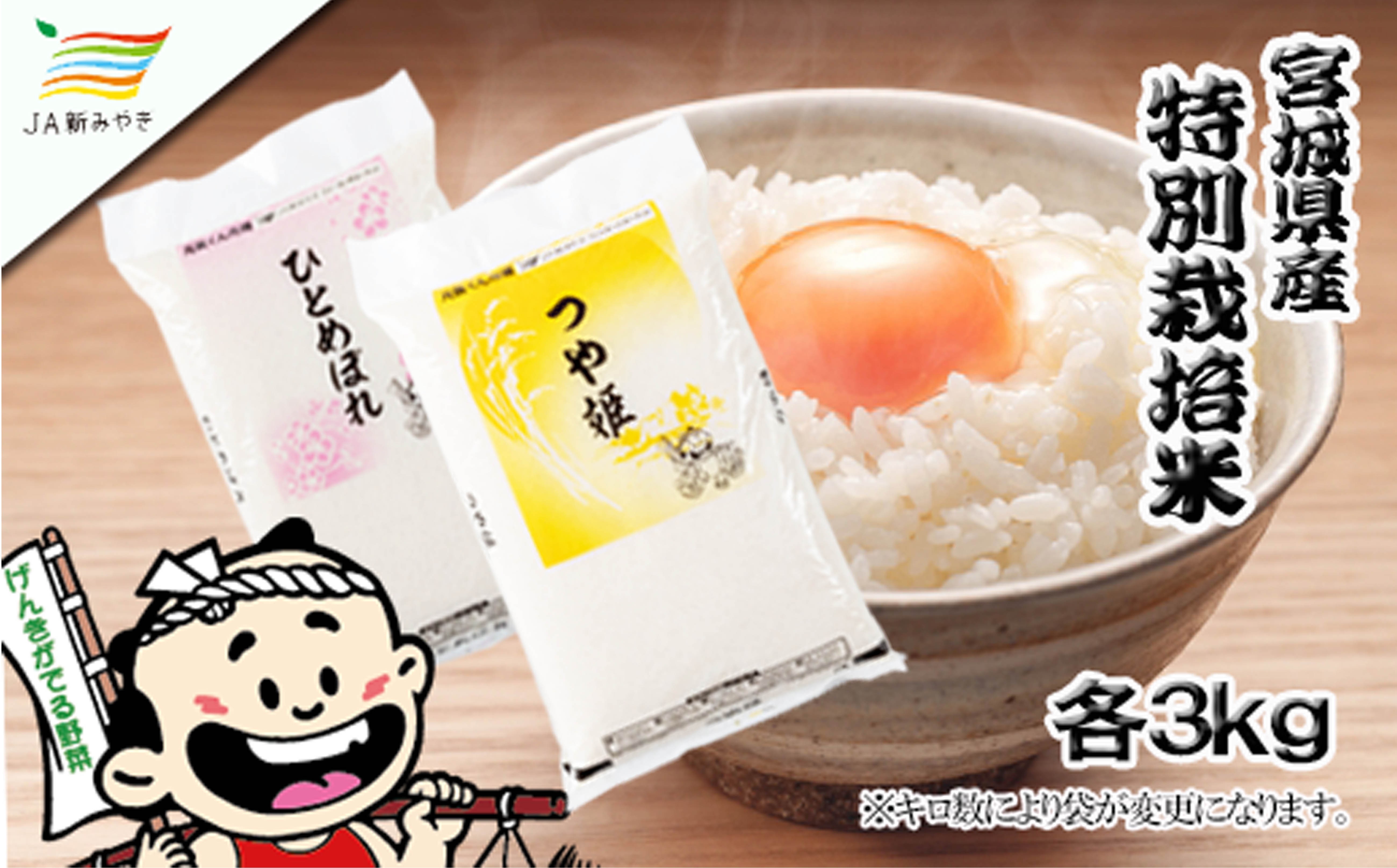 
                  元気くん市場  宮城の美味しいお米食べ比べセット（Ｃ） /  精米 小分け 人気 ランキング  お米 米 つや姫【mygs009】
                
