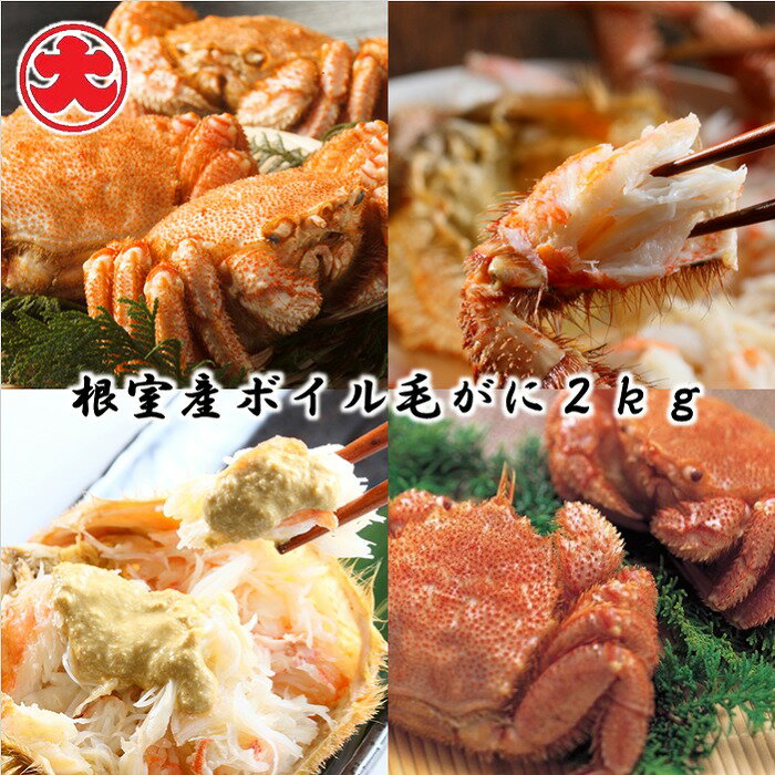 【ふるさと納税】 [北海道根室産] ボイル毛がに 400g × 5 尾 ( 計 2kg ) 毛ガニ 毛蟹 けがに ケガニ かに カニ 蟹 お取り寄せ グルメ 海鮮 茹で蟹 茹でがに 茹でガニ 北海道 根室市 ふるさと納税 D-01054
