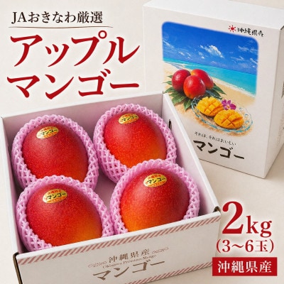 【2026年6月から順次発送・化粧箱】JA厳選のアップルマンゴー2kg(3～6玉)【配送不可地域：離島】